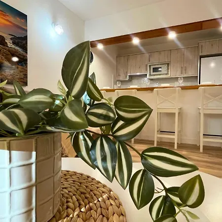 Apartment Markethome Neptuno Front 1bdr *